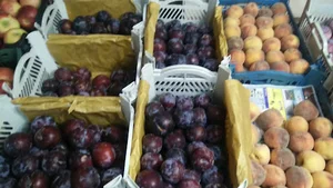 میوه‌سرای سیب