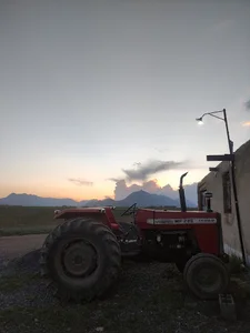 Yala Farm مزرعه یالا