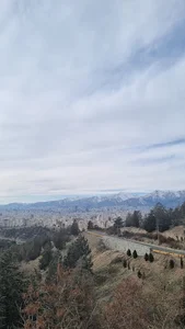 پارک جنگلی شیان