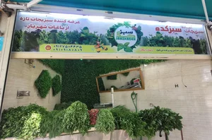 سبزی فروشی سبزکده 4
