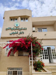 دکتر شفیعی 2