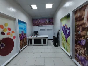 زعفران خانی