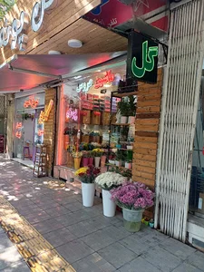 گلفروشی گل پونه