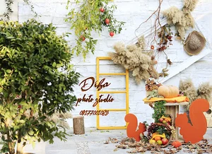 آتلیه عکس وفیلم دیبا