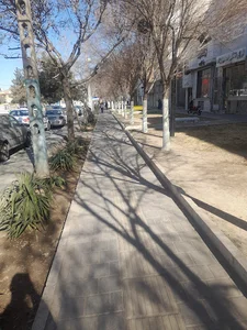 فضای سبز