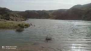 مزارع کشاورزی علیرضا محمدی