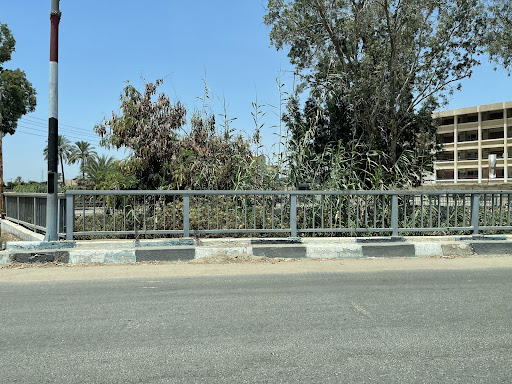 كوبري المنايف