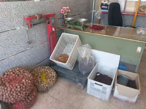 خشکبار ایرانیان