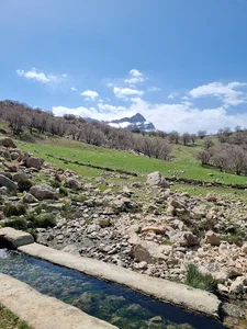 چشمه راکن