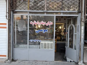 لاستیک ولی زاده