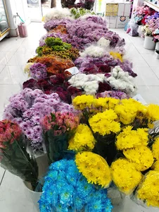گل فروشی هلند