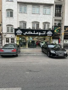 اتو ملکی 3