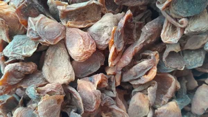 حبوبات عباس خسروی 4