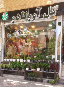 گل اووکادو