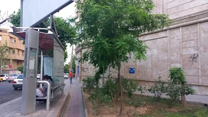 بوستان فلسطین