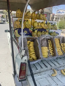 موز سرای برهان