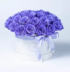 گلفروشی آنلاین فلوریاس floriyas online flowershop