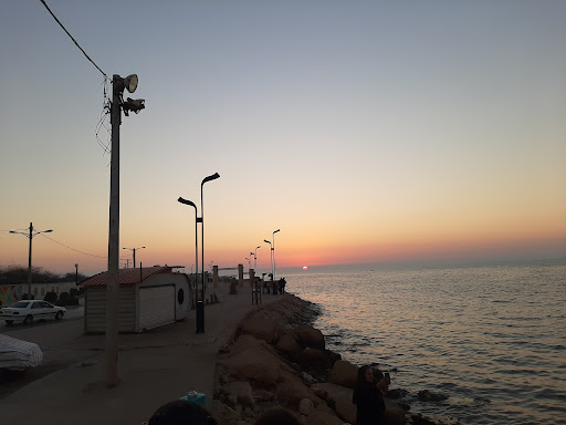 سرویس بهداشتی
