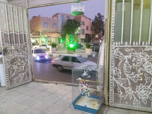 پرنده فروشی داوطلب