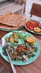 غذای خونگی مادر محبوب 4