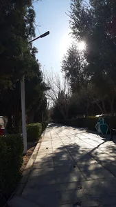 بوستان شهدای کسنویه