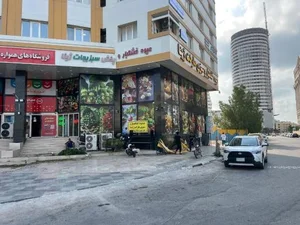 سبزی مارکت ژینا 3