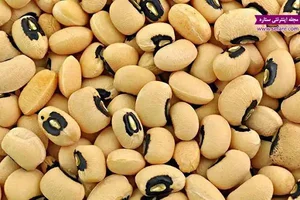 ارزانسرای کوثر ذوالفقار