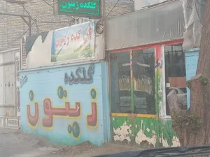 گلسرای زیتون 2