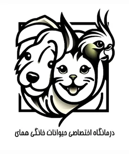 Homay Veterinary