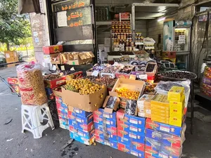 خرماسرای نخل ایران کیمیا قلم 3