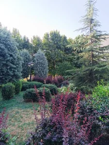 پارک مکعب 5