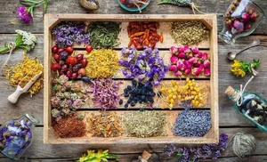 داروخانه گیاه پزشکی رحمانی