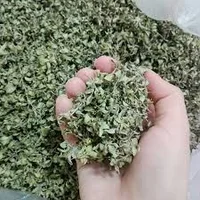 خواص معجزه آسای گیاه آنخ (کاکوتی)