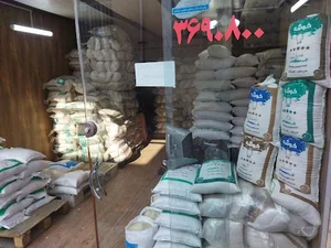 برنج خوشه