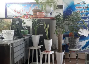 Parse Academy آموزشگاه کامپیوتر پارسه