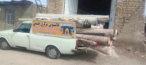 قالیشویی حسینی هشتگرد