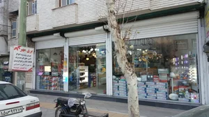دایان الکترونیک