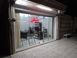 املاک امیری