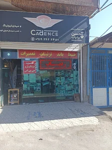 محسن ردیاب (امنیت خودرو)