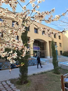 دانشگاه ادبیات و علوم انسانی