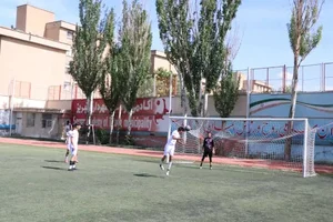 زمین چمن فوتبال پاس 2