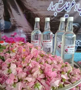 کارگاه گلاب گیری بهار