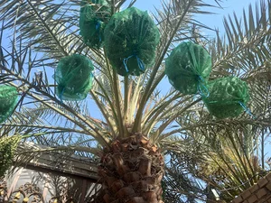 سوپرمارکت حفار