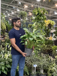 نمایشگاه گل و گیاه ذرتکار