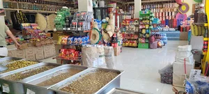 زیتون رند