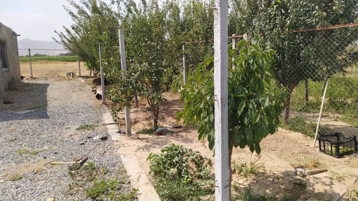 باغ خانوادگی اسکندری
