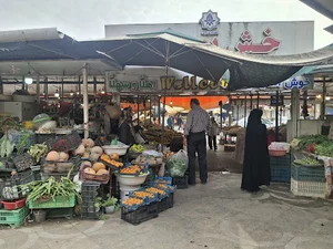 مرکز عرضه مرکبات شمال