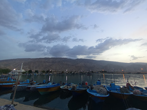 ماهی فروشی خلیج فارس