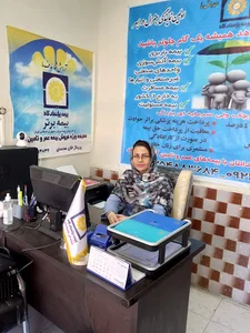 بیمه پاسارگاد نمایندگی خانمحمدی ابهر