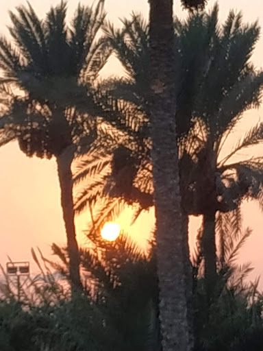 بقالة عبد الباسط